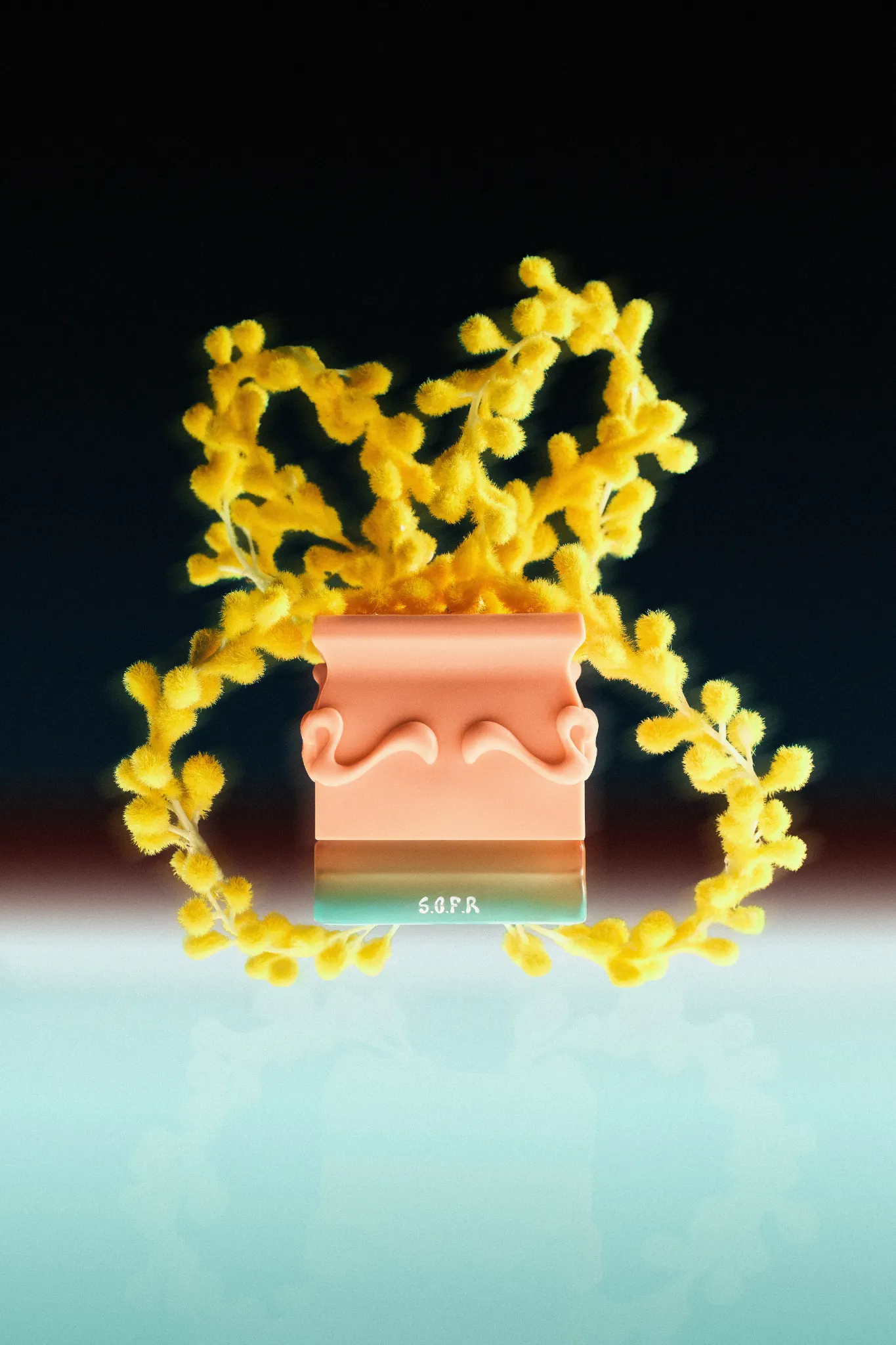Saff & Co. SOFR perfume packaging surrounded by yellow flowers, featuring an organic visual treatment